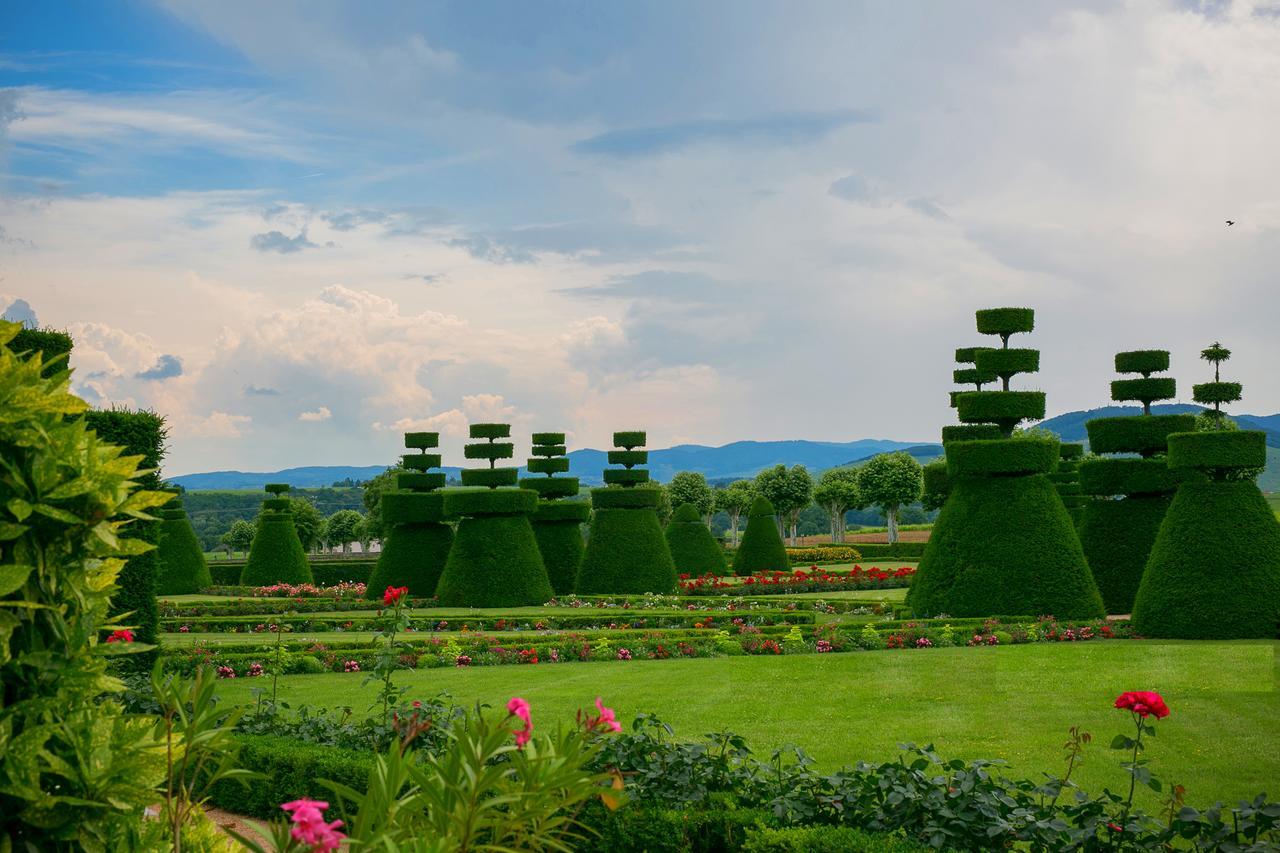 Chateau De Pizay Belleville-sur-Saône Esterno foto