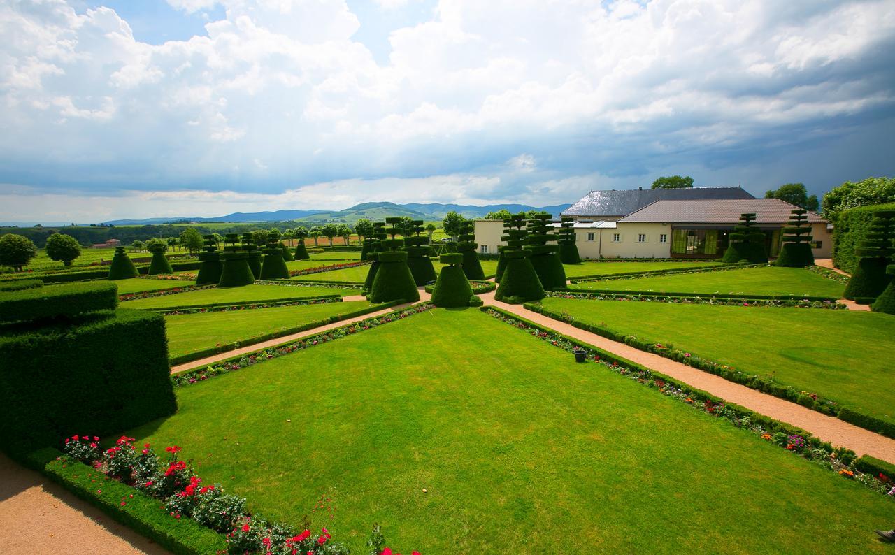 Chateau De Pizay Belleville-sur-Saône Esterno foto